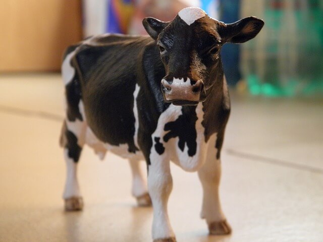 2025년 을사년 2월 운세(2) 소띠 '나랑 비슷한 느낌인데~'