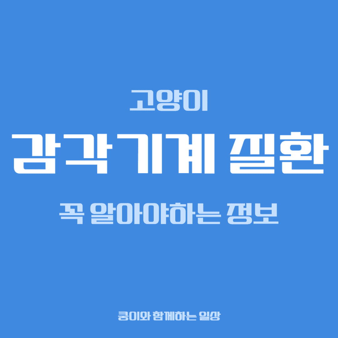 고양이 감각기계 질환, 집사가 꼭 알아야 할 정보