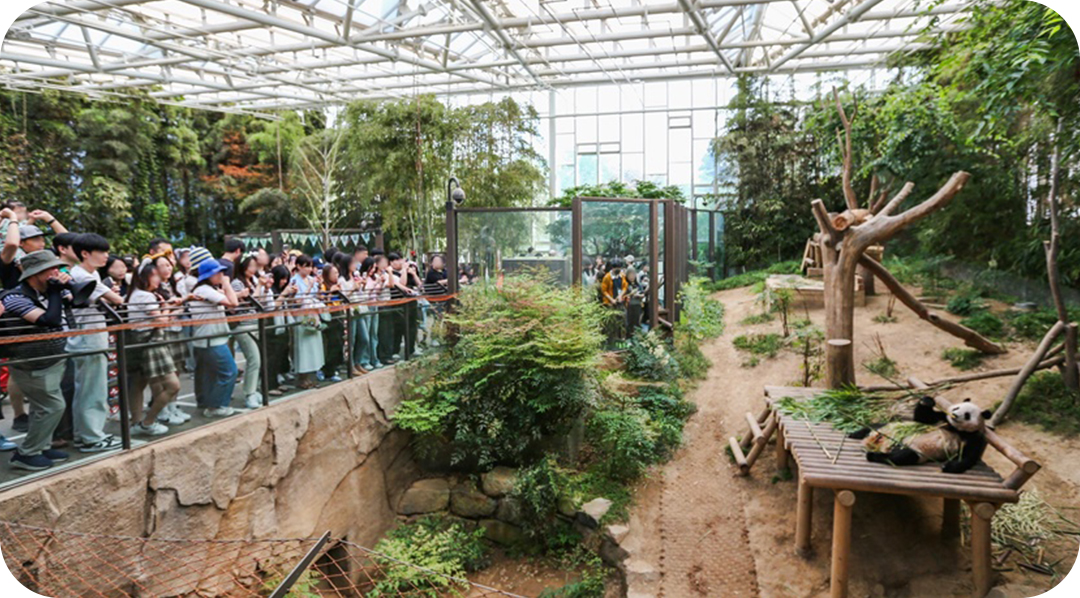 #에버랜드 #관광객 #관람 #에버랜드예약 #에버랜드Q패스 #Q패스