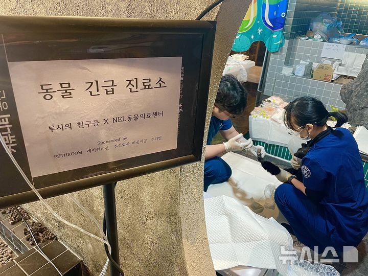 재난 속 반려동물의 안전 - 대한민국 현실과 해외와 차이