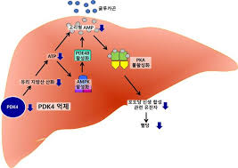 당뇨병