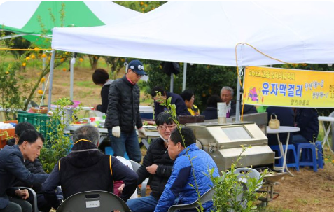 고흥유자축제 일정 프로그램 주변 맛집 숙소 교통 주차 정보