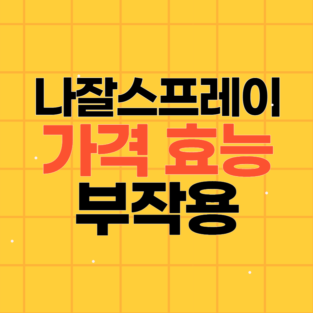 나잘 스프레이 가격 효능 부작용