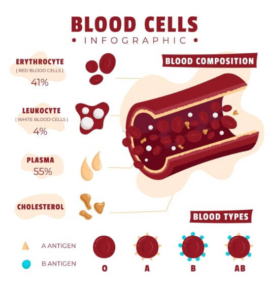 혈관 속 노폐물의 정도
