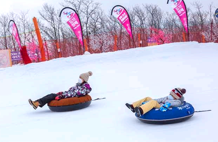 하이원리조트 눈썰매장