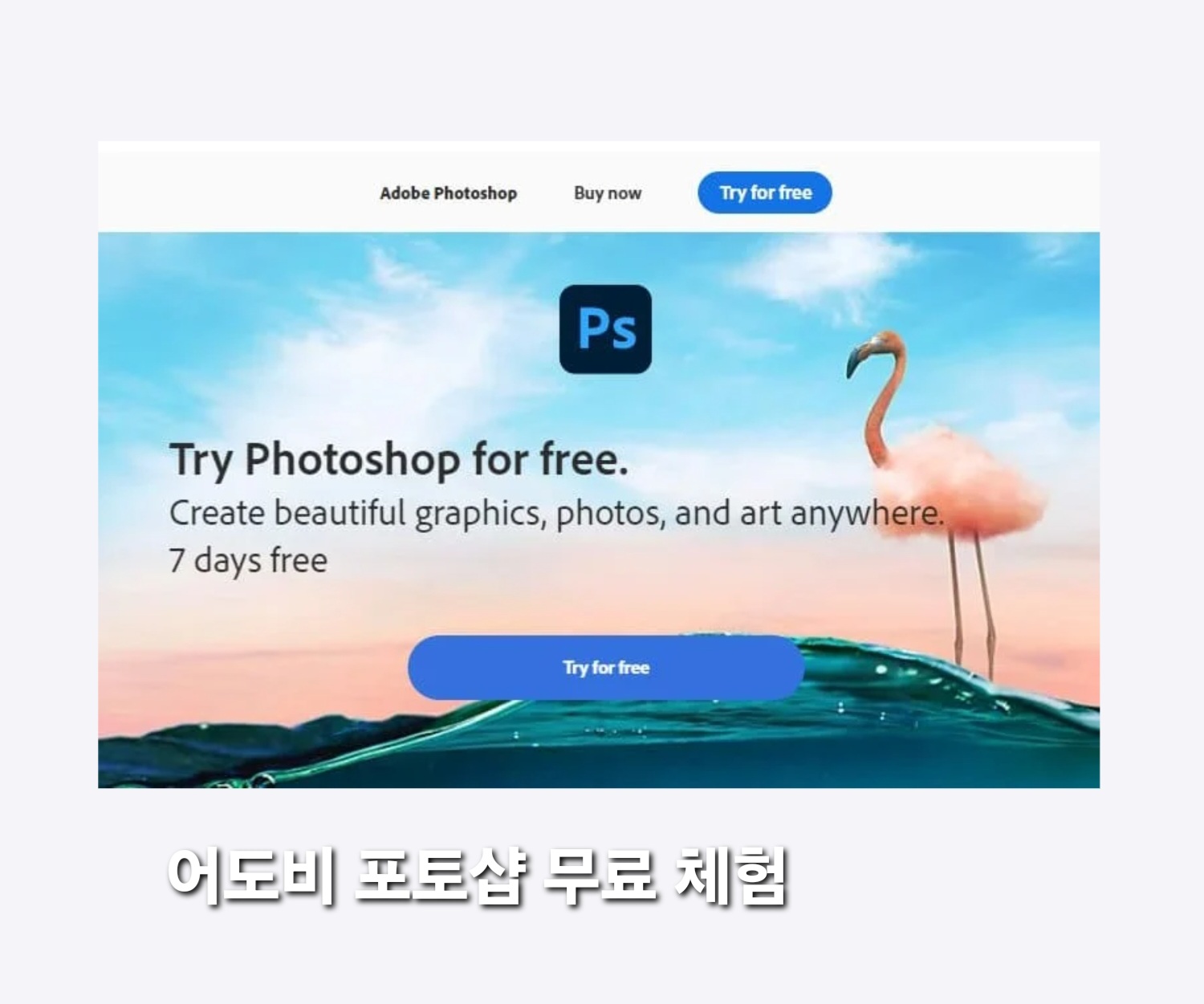2025년 어도비 포토샵 무료 체험