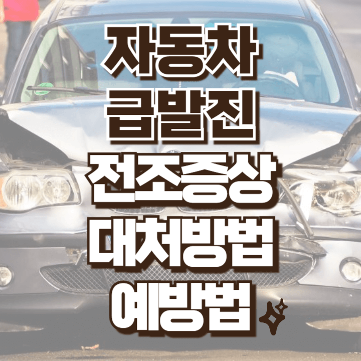 자동차 급발진 대처방법 전조증상 예방법