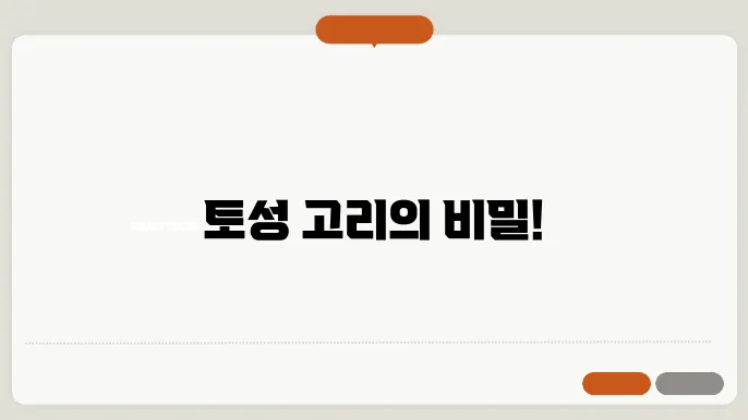 토성의 고리