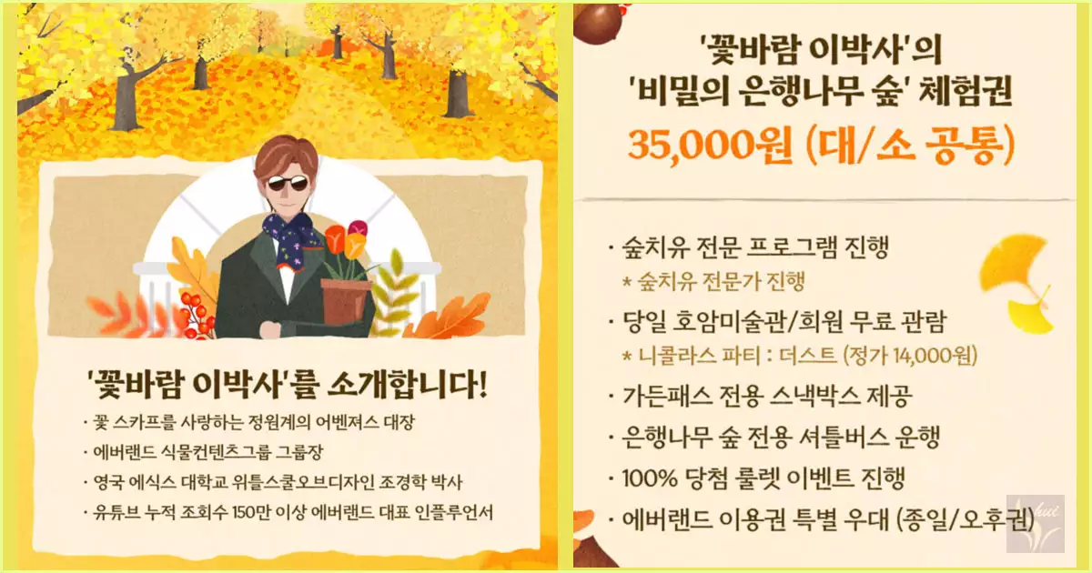 비밀의 은행나무숲 프로그램 소개