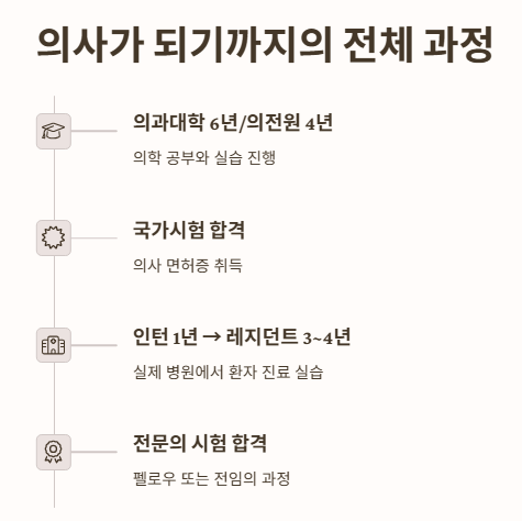 의사가 되기까지의 전체 과정 요약
