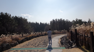 산굼부리 산책길
