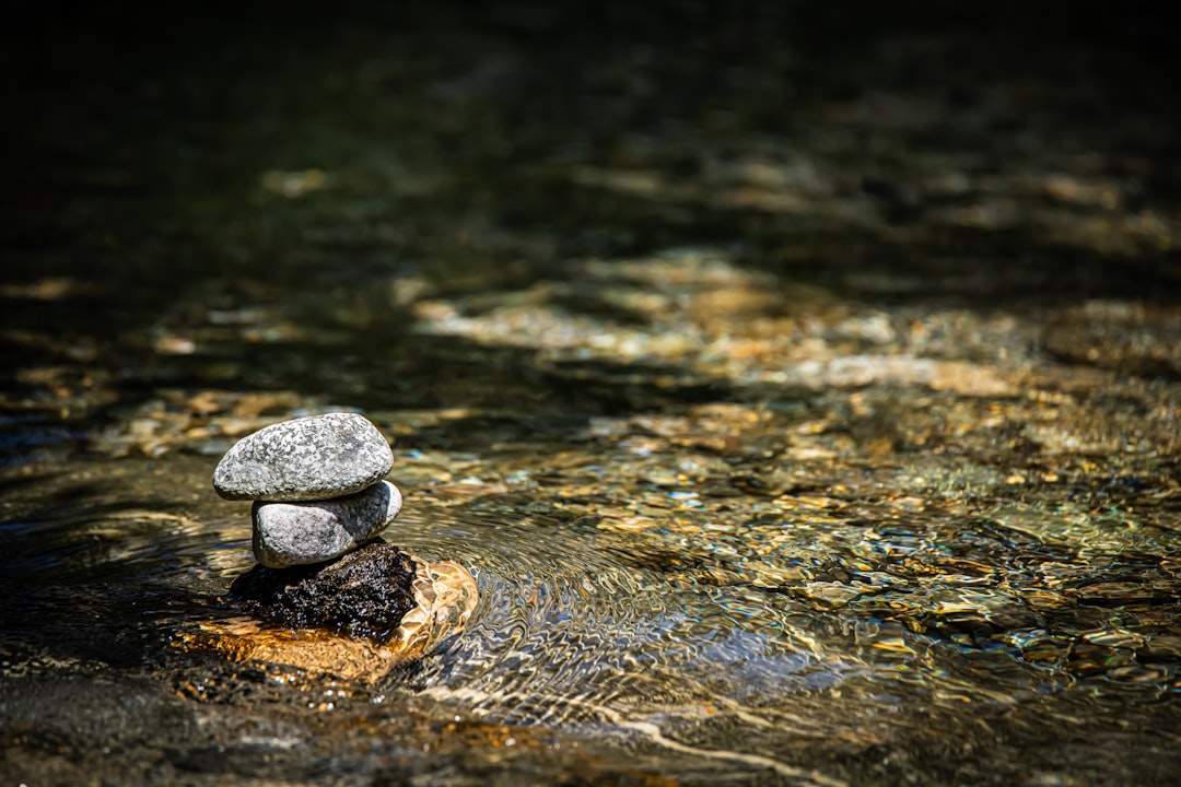 Wellbeing