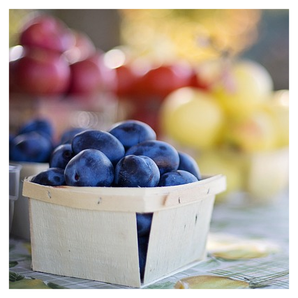 민생회복 소비쿠폰 사용기한2