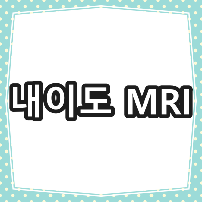 내이도 MRI