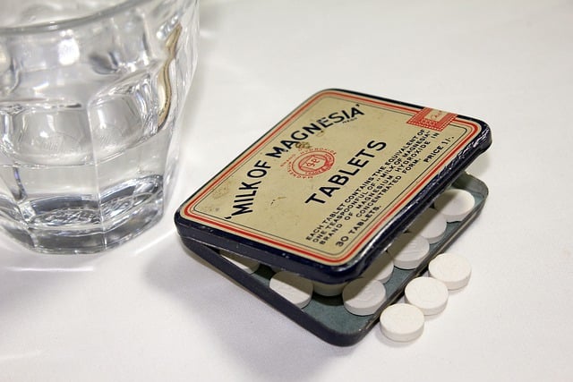 프로바이오틱스 추출물 건강보조식품