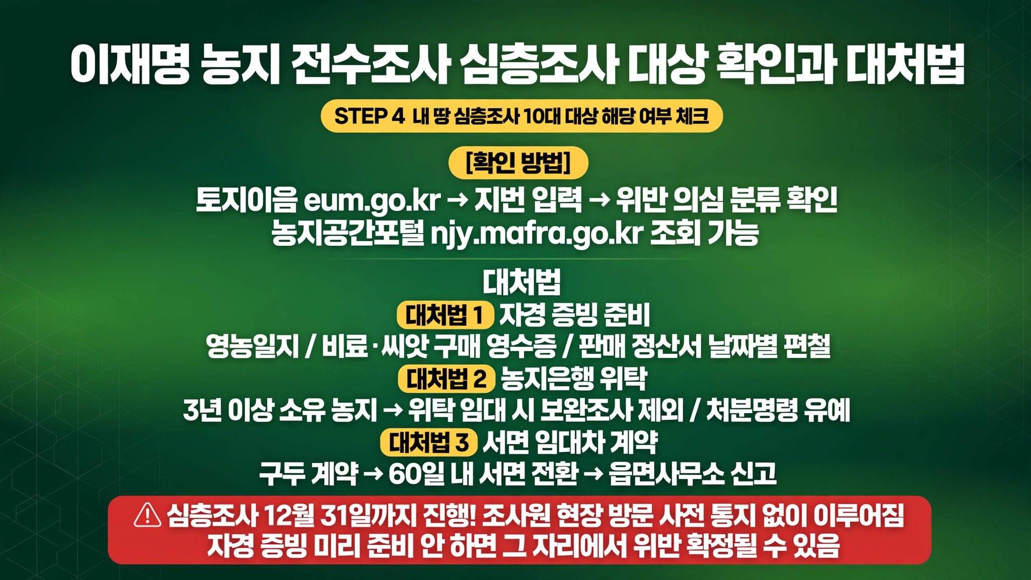여자농구 결승