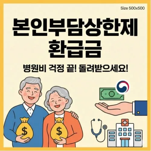 본인부담상한제 환급금 ❘ 조회 및 신청 안 하면 소멸? 내 병원비 132만 원 되돌려 받기