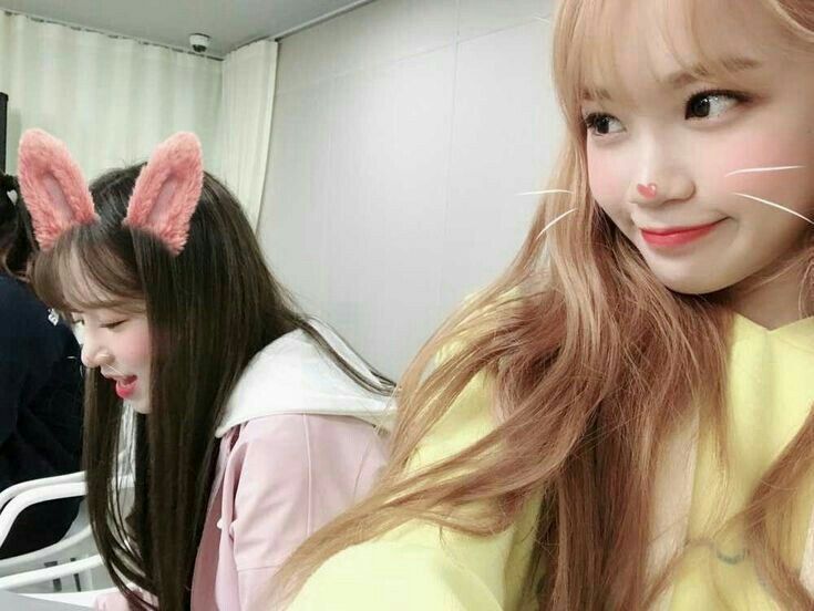 아이즈원 프로듀스48 사진 모음 아이즈원 프로듀스48 사진 모음