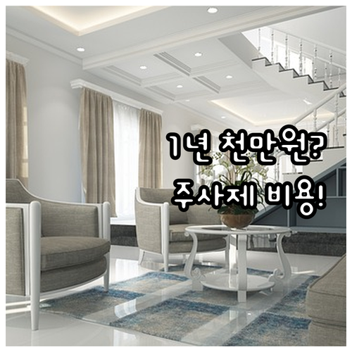 비급여 다이어트 약 비용 구조, 1년..