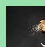 피로회복에 좋은 음식과 스트레칭