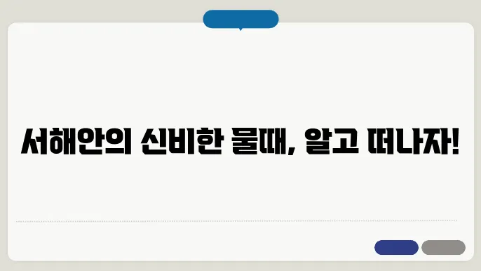 서해안 물때표