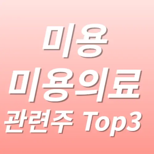 미용 미용의료 관련주