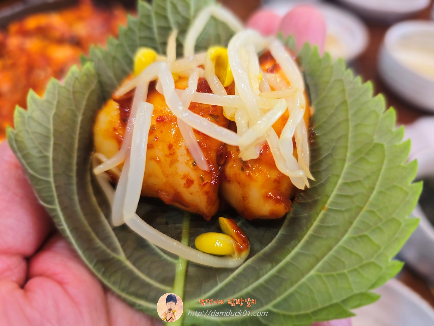 갑오징어 불고기