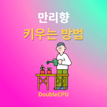 만리향 키우기 물주기