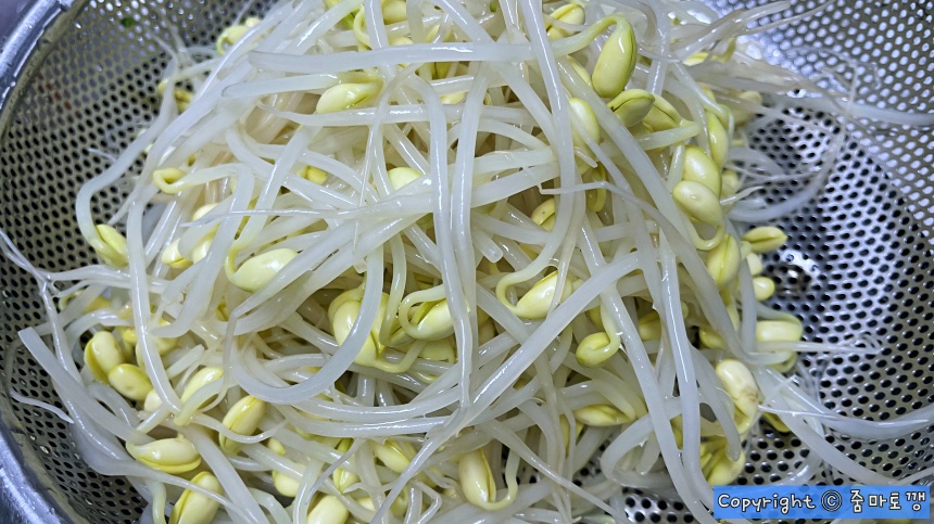 삶은-콩나물