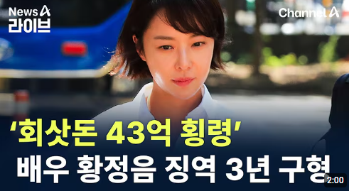황정음 42억 횡령
