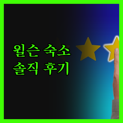 윌슨 숙소, 솔직 후기! 가성비냐, 