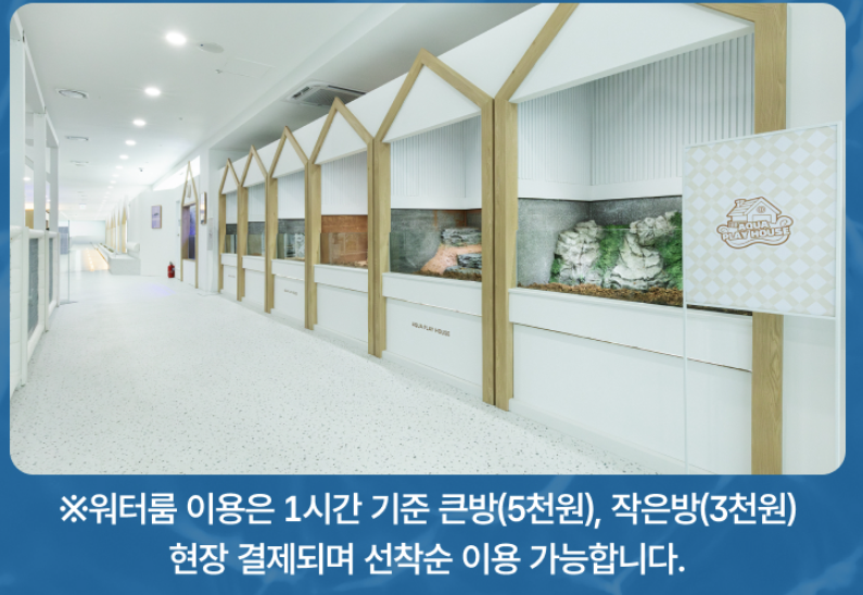 부산 명지 아쿠아 키즈카페 아쿠아플레이하우스