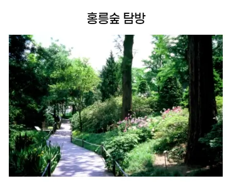 숲길체험-탐방로