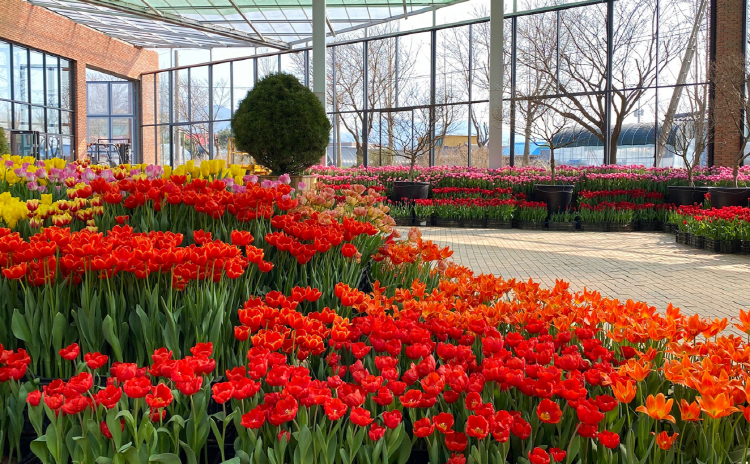 아산 세계꽃식물원