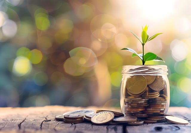 뇌혈관 질환 보험 및 뇌혈관 질환 진단비