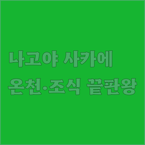 나고야 사카에 숙소 베스트 5 온천과..