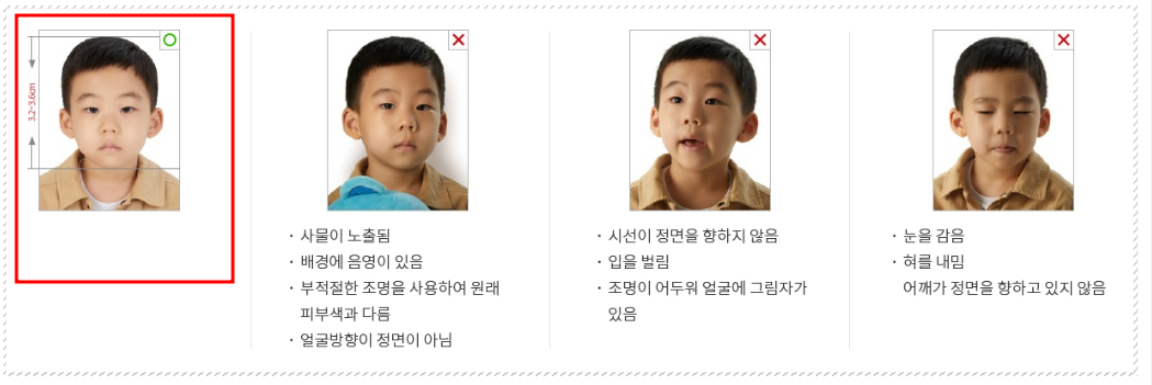 여권사진 규정, 여권사진 규격