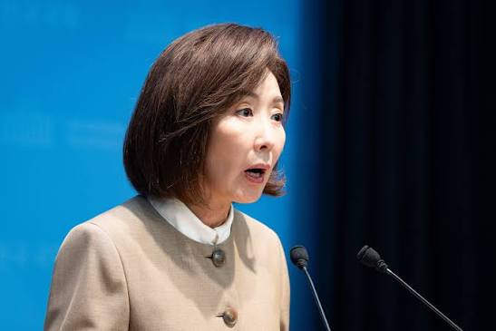 나경원 DMZ 지뢰 결의안 발의