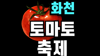 화천 토마토 축제