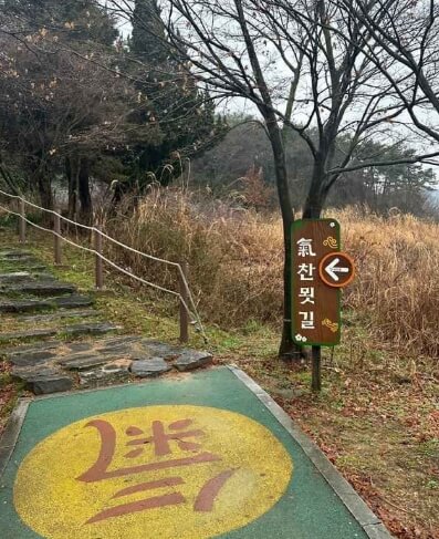 영암 가볼만한곳 베스트 10