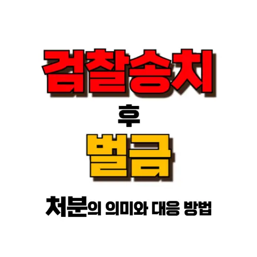 검찰 송치 후 벌금 처분