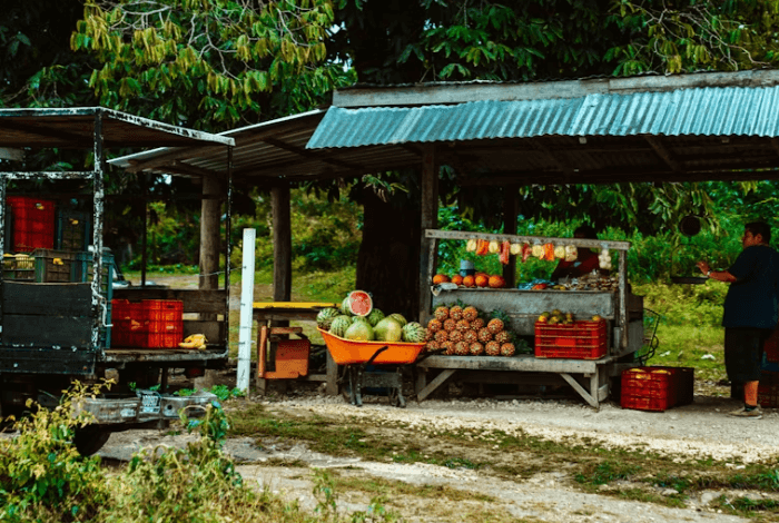 2026 농식품 바우처