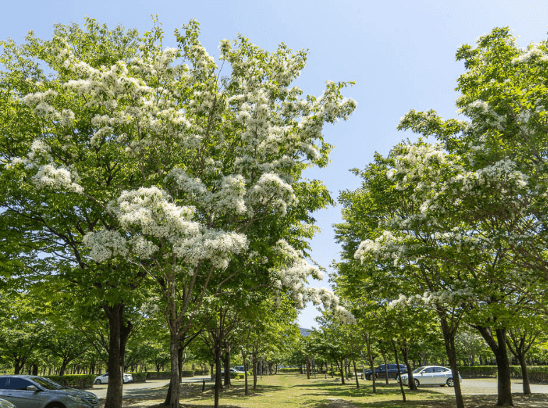 을숙도-생태공원
