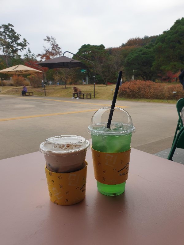 테이블 위에 컵 2개가 올려 있다. 왼쪽은 땅콩 오른쪽은 솔잎이다.