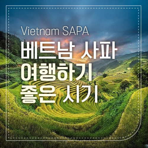 사파1년 섬네일