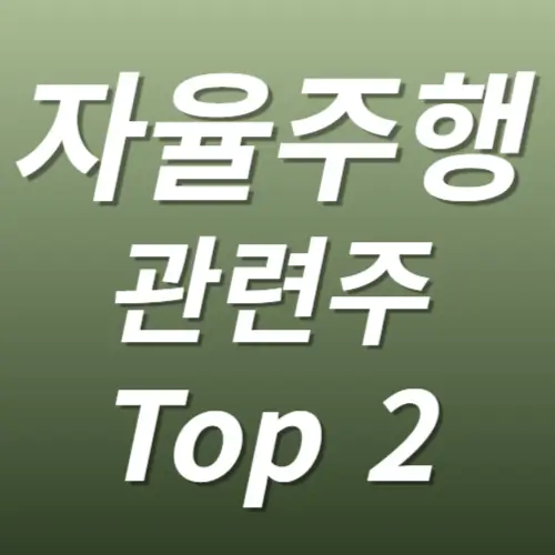 자율주행 대장주