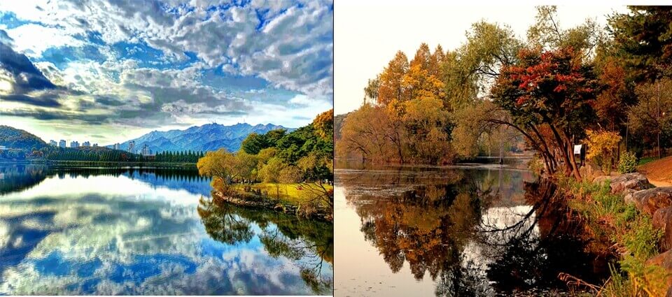 서울·수도권 가을 피크닉 명소 총정리 : 단풍 아래에서 즐기는 힐링 한 끼