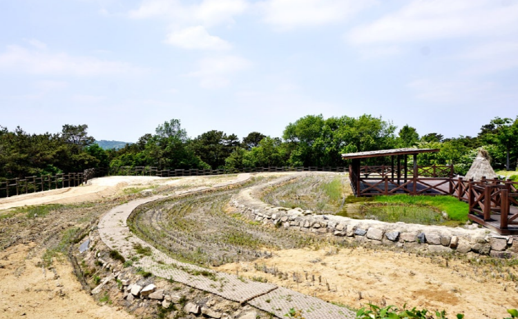 이천 농업테마공원