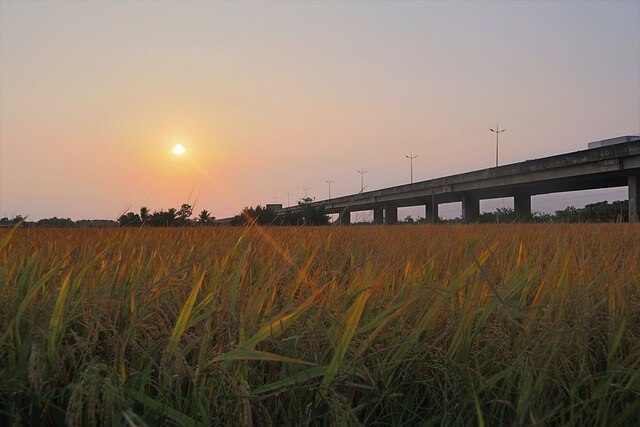 고향사랑기부제