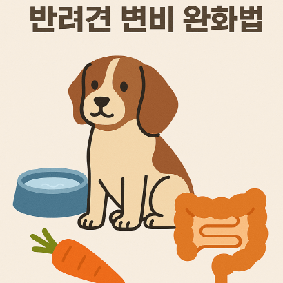 강아지 변비 예방·완화 가이드, 집에서 할 수 있는 관리법